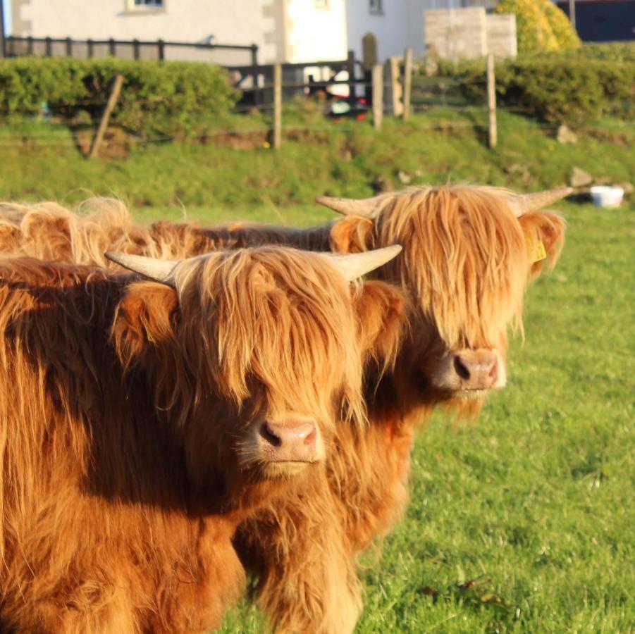 Carnalbanagh House Bed & Breakfast Portstewart Eksteriør bilde