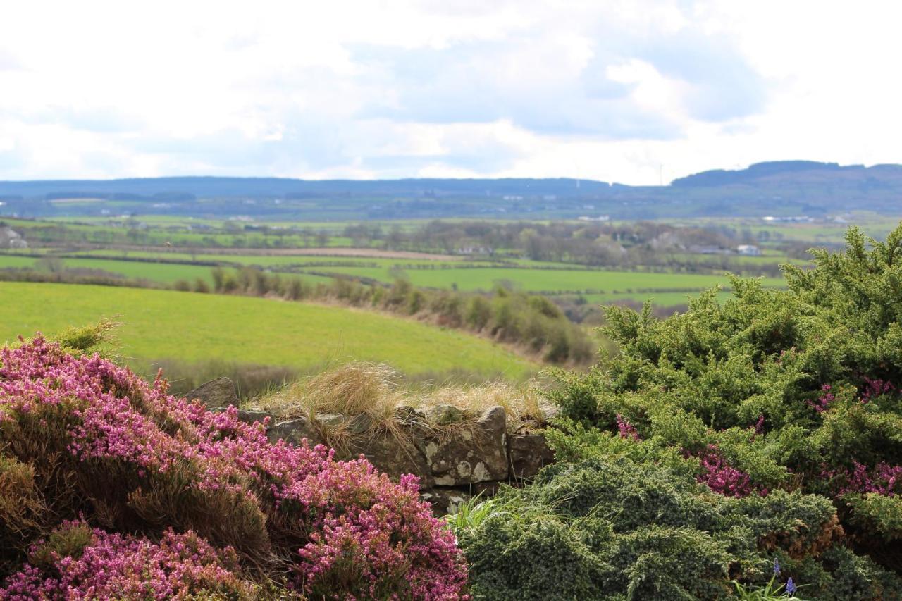 Carnalbanagh House Bed & Breakfast Portstewart Eksteriør bilde